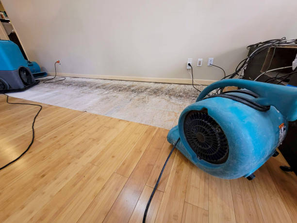 Professional Flood Damage Cleanup technician working in Stewart, TN